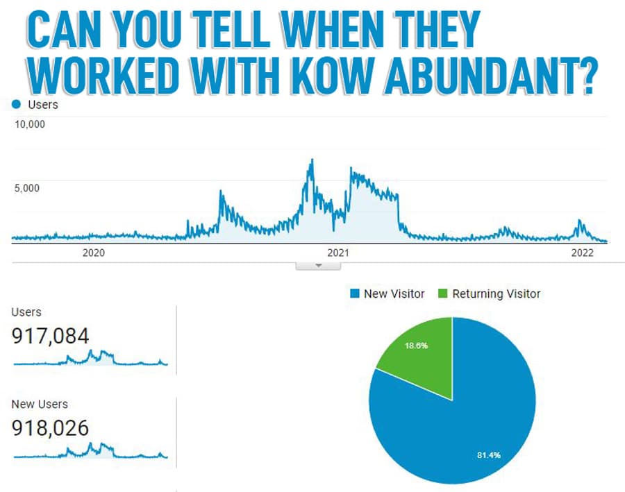 pie chart and graph of SEO going up and then down dramatically after stopping work with Kow Abundant.