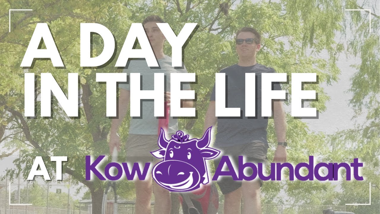 a day in the life at kow abundan | Columbus SEO Company Image